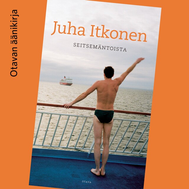 Book cover for Seitsemäntoista