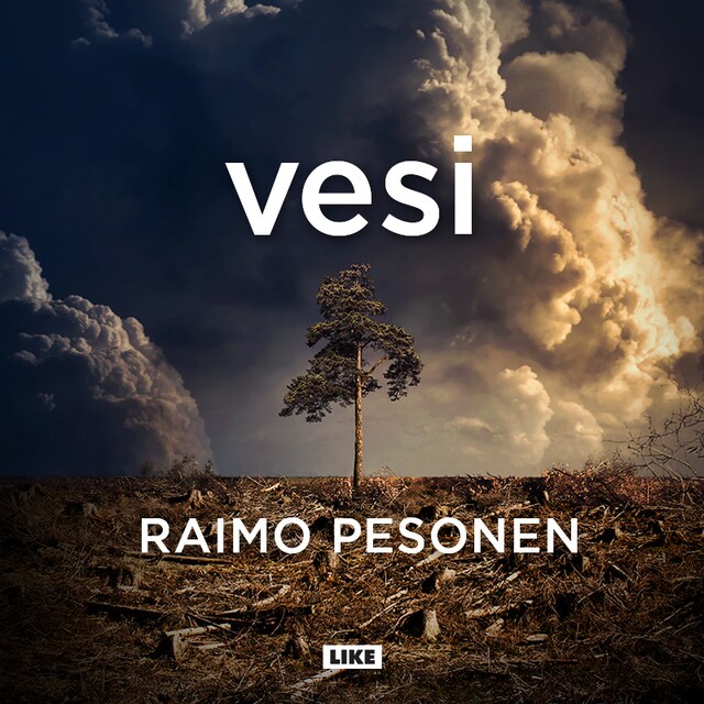Book cover for Vesi
