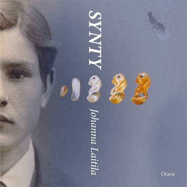 Book cover for Synty