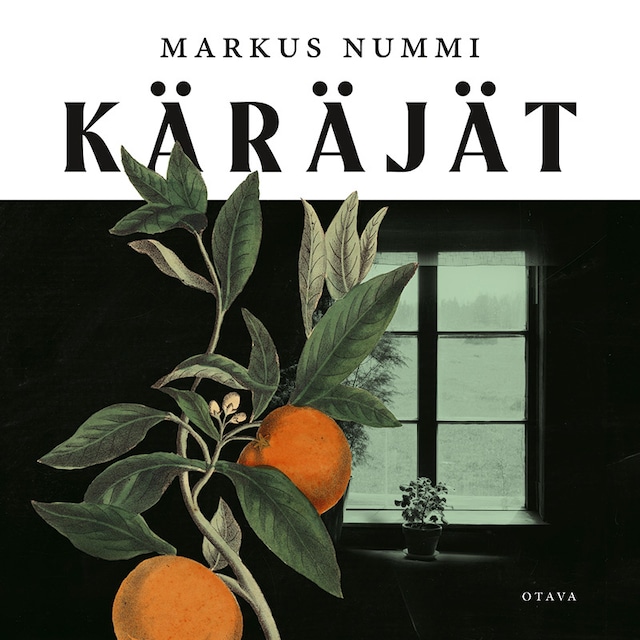 Buchcover für Käräjät