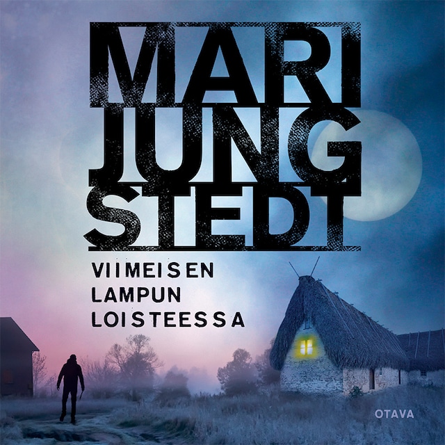 Book cover for Viimeisen lampun loisteessa