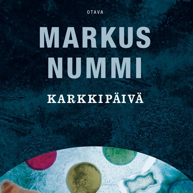 Buchcover für Karkkipäivä