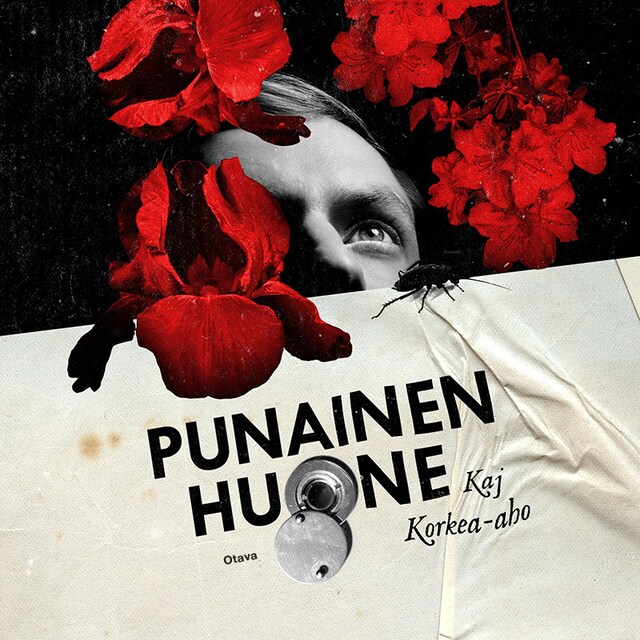 Book cover for Punainen huone