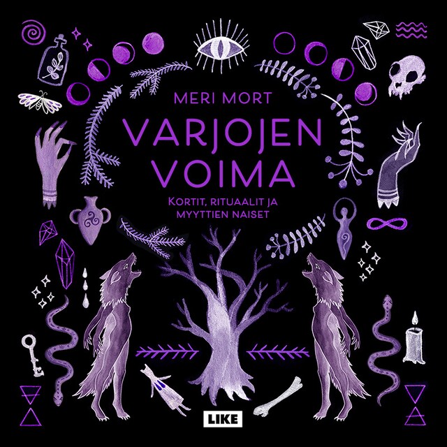 Book cover for Varjojen voima