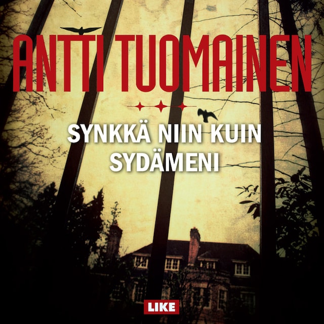 Book cover for Synkkä niin kuin sydämeni