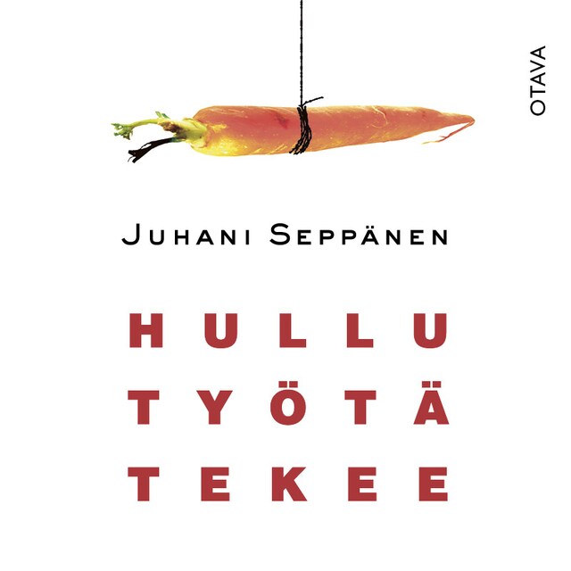 Book cover for Hullu työtä tekee
