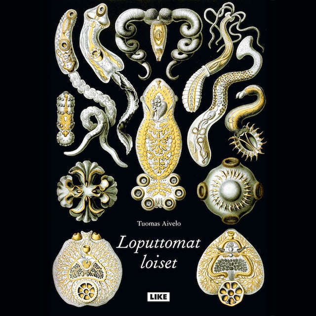 Okładka książki dla Loputtomat loiset