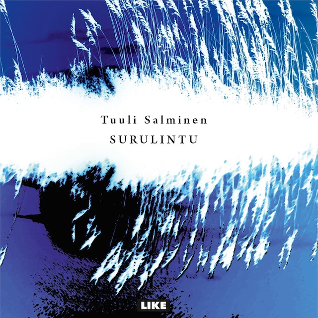Book cover for Surulintu