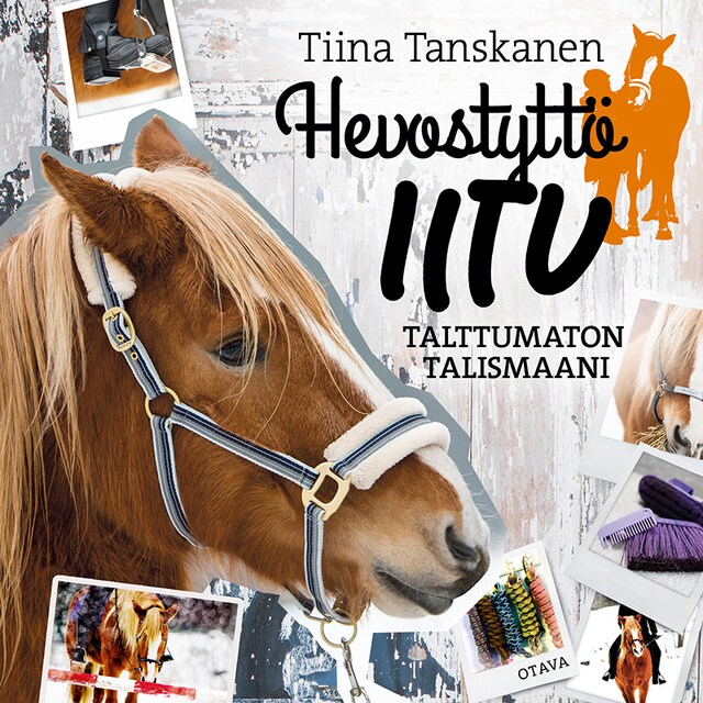 Book cover for Talttumaton Talismaani