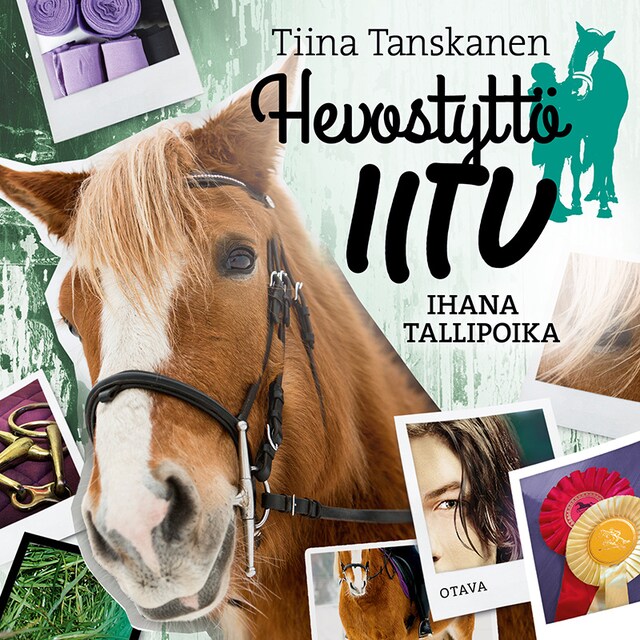 Book cover for Ihana tallipoika