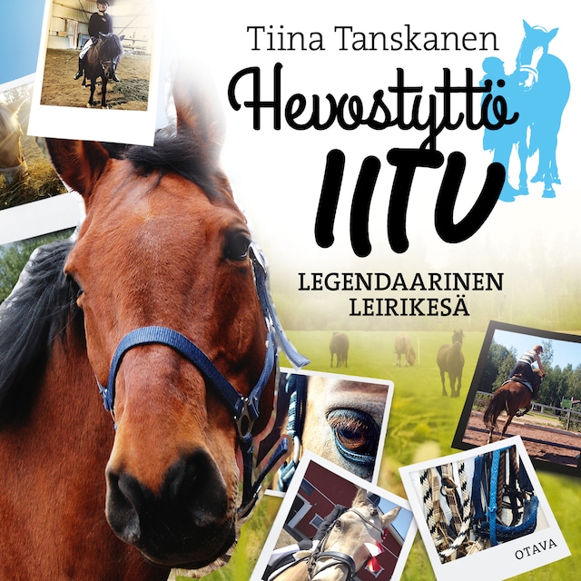 Book cover for Legendaarinen leirikesä