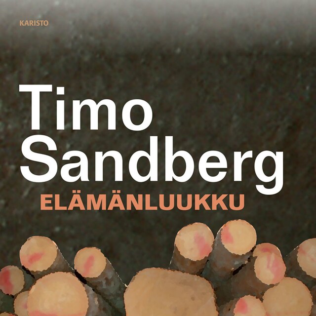 Book cover for Elämänluukku