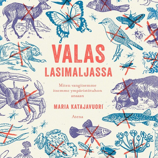 Book cover for Valas lasimaljassa