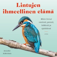 Lintujen ihmeellinen elämä