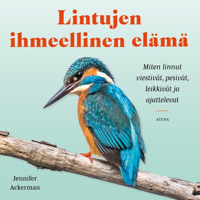 Buchcover für Lintujen ihmeellinen elämä