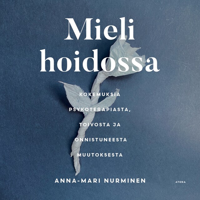 Book cover for Mieli hoidossa
