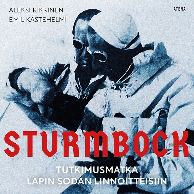 Book cover for Sturmbock