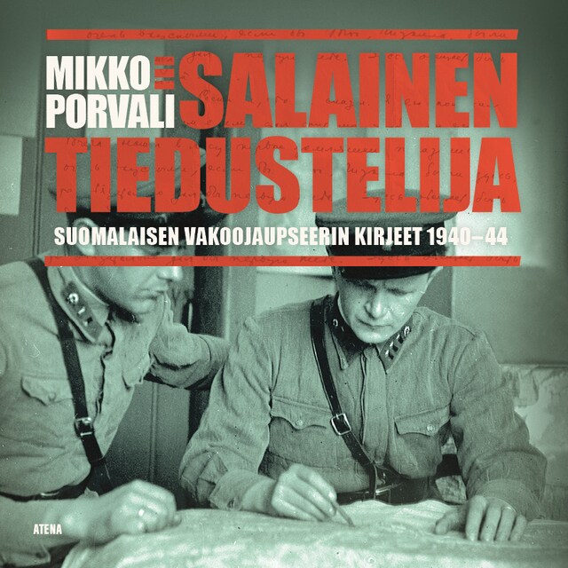 Book cover for Salainen tiedustelija