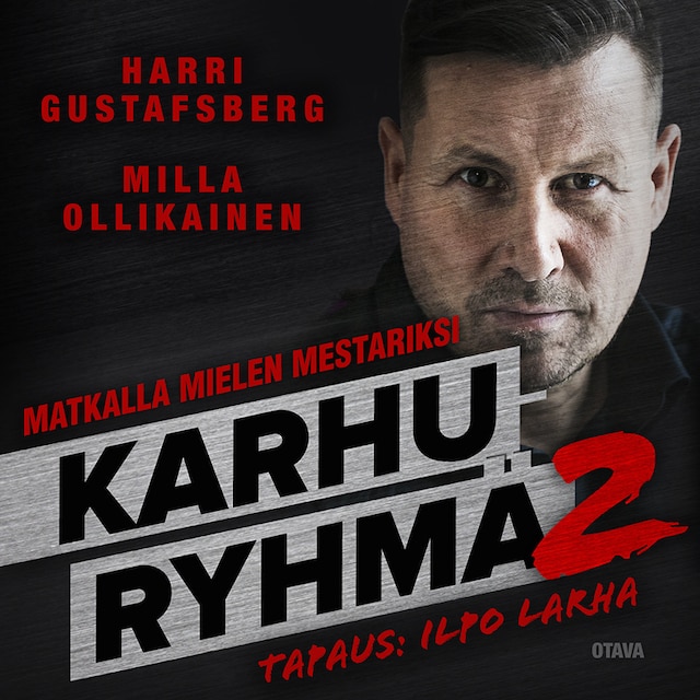 Buchcover für Karhuryhmä 2