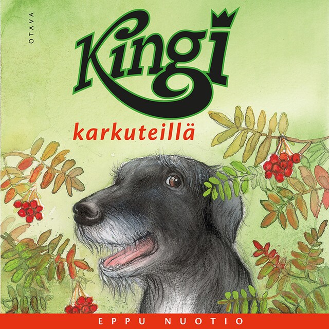 Copertina del libro per Kingi karkuteillä