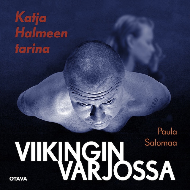 Book cover for Viikingin varjossa