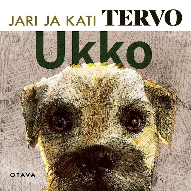 Couverture de livre pour Ukko