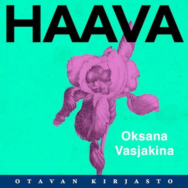 Book cover for Haava