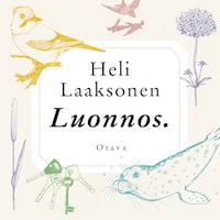 Luonnos