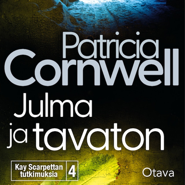 Book cover for Julma ja tavaton