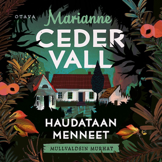 Book cover for Haudataan menneet