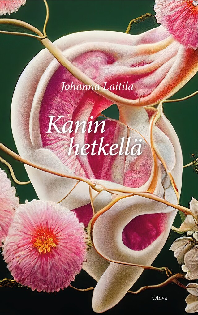 Buchcover für Kanin hetkellä