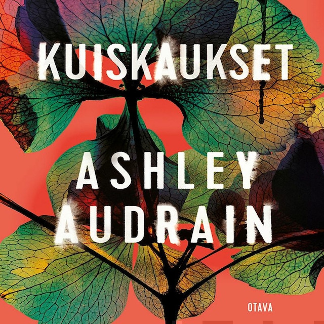 Book cover for Kuiskaukset