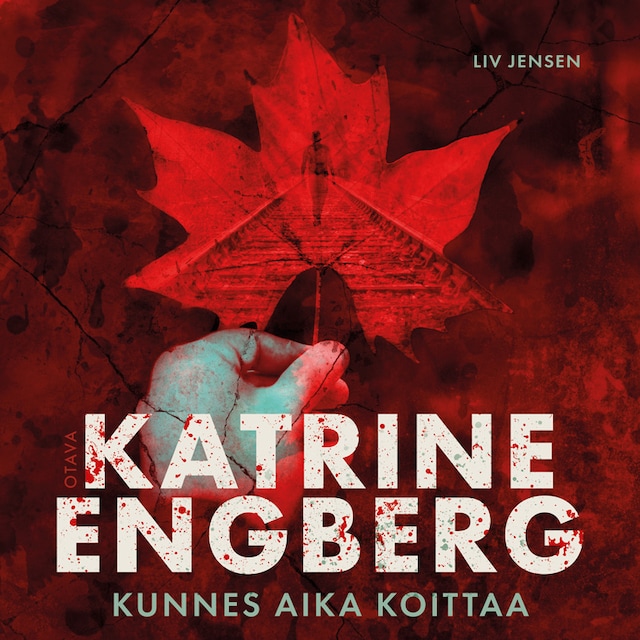 Buchcover für Kunnes aika koittaa