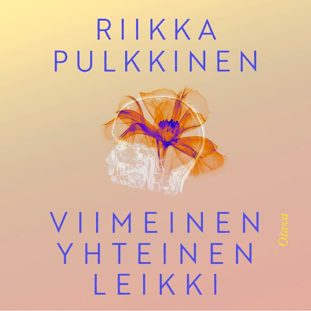 Book cover for Viimeinen yhteinen leikki