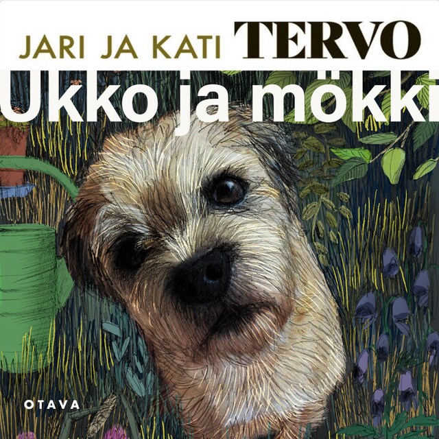 Couverture de livre pour Ukko ja mökki