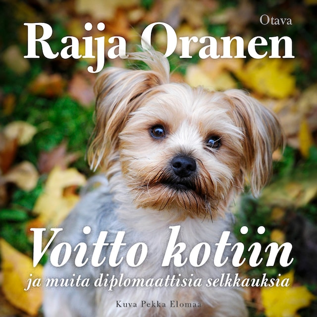 Book cover for Voitto kotiin ja muita diplomaattisia selkkauksia