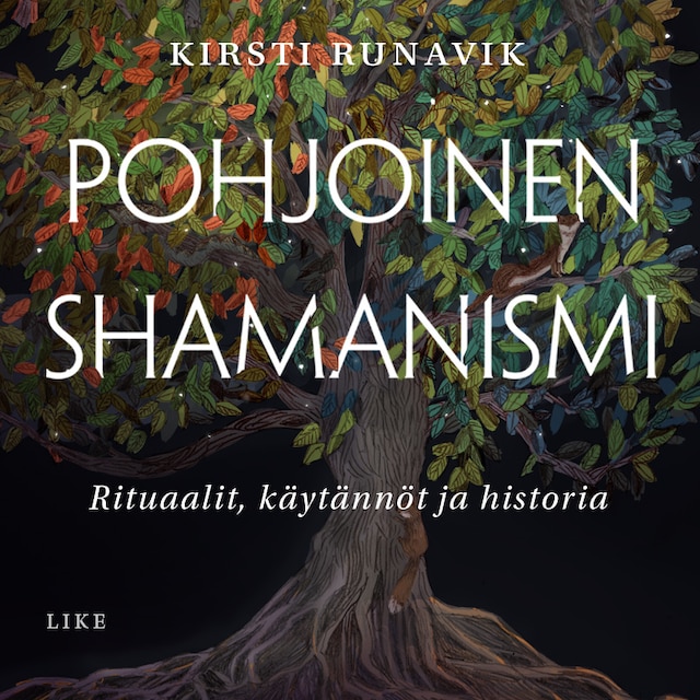 Boekomslag van Pohjoinen shamanismi