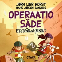 Operaatio Säde