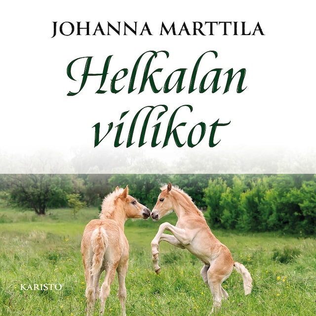 Book cover for Helkalan villikot