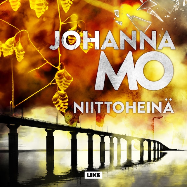 Book cover for Niittoheinä