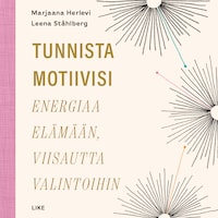 Tunnista motiivisi