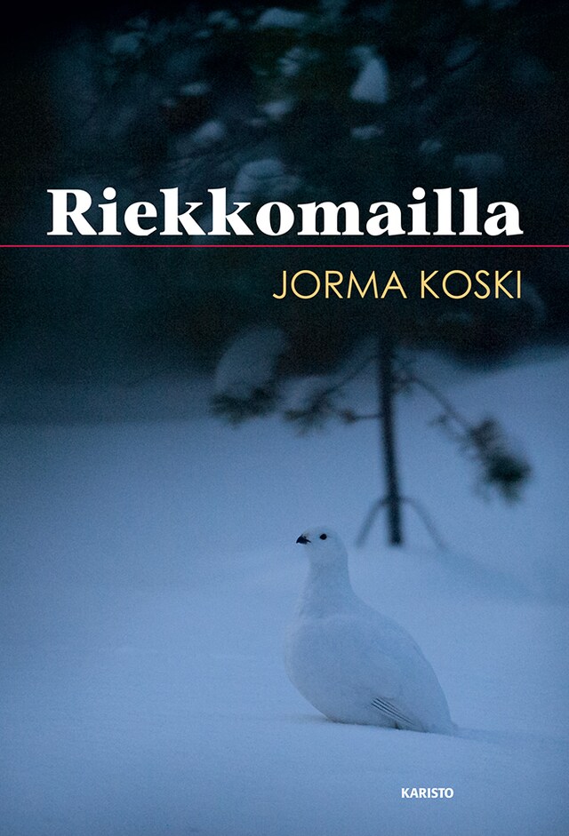 Book cover for Riekkomailla