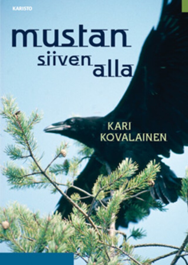 Book cover for Mustan siiven alla