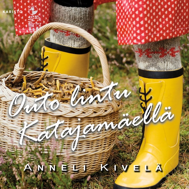 Book cover for Outo lintu Katajamäellä