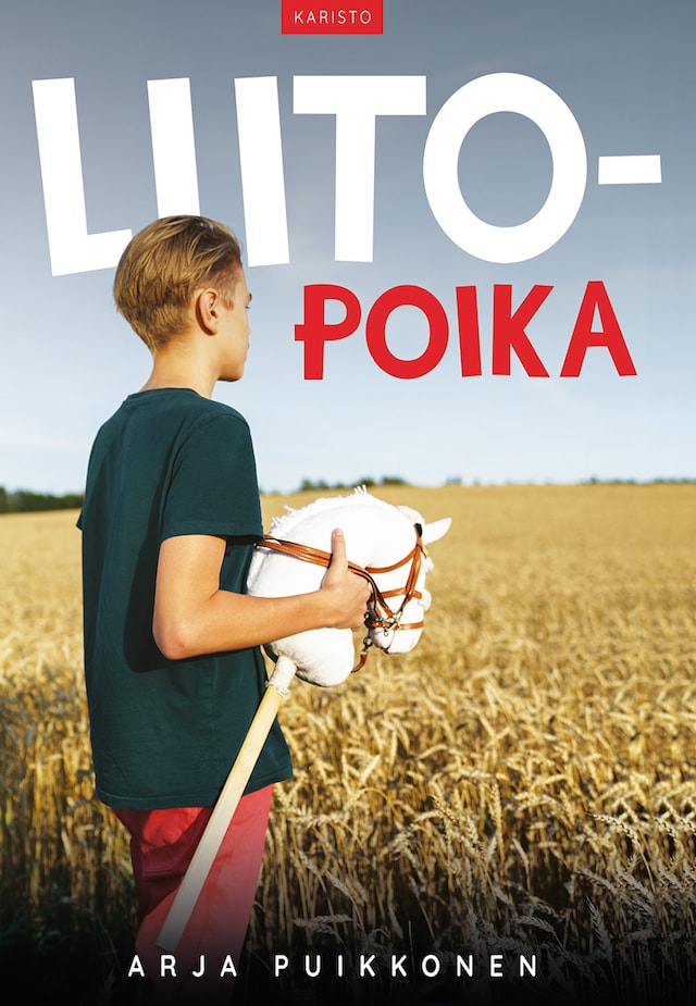 Book cover for Liitopoika
