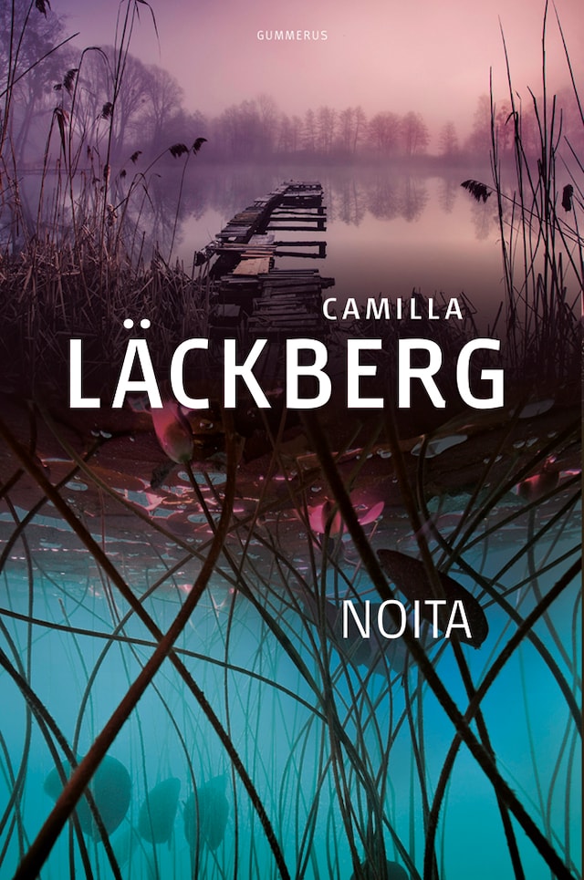 Book cover for Noita