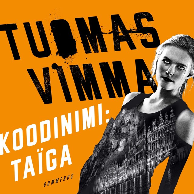 Book cover for Koodinimi Taïga