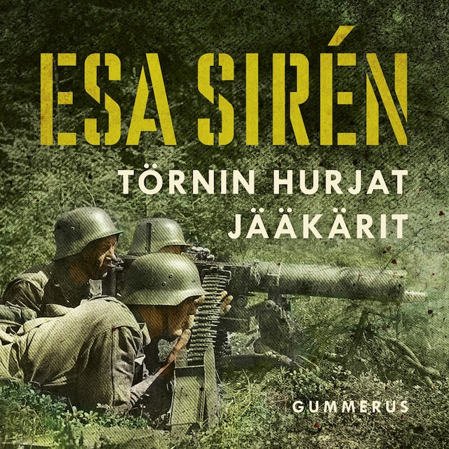 Book cover for Törnin hurjat jääkärit