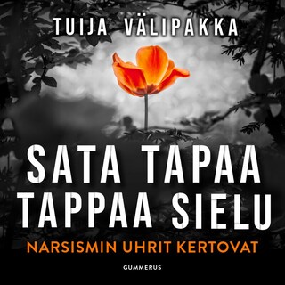 Sata tapaa tappaa sielu bookCoverFor