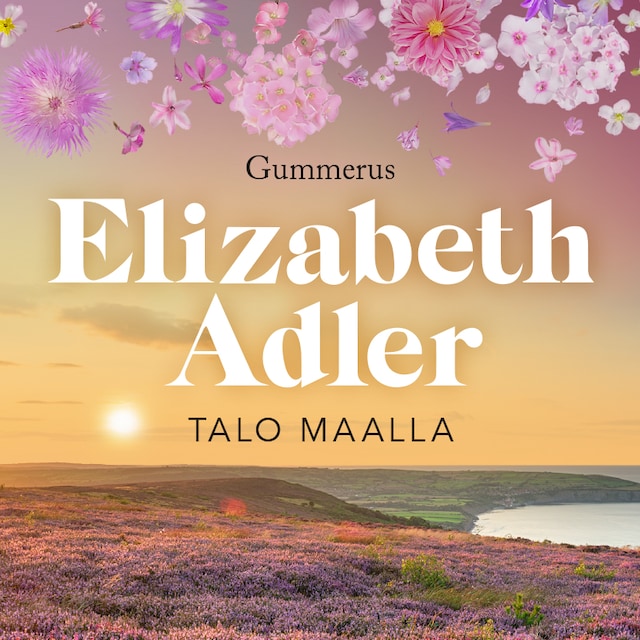 Book cover for Talo maalla